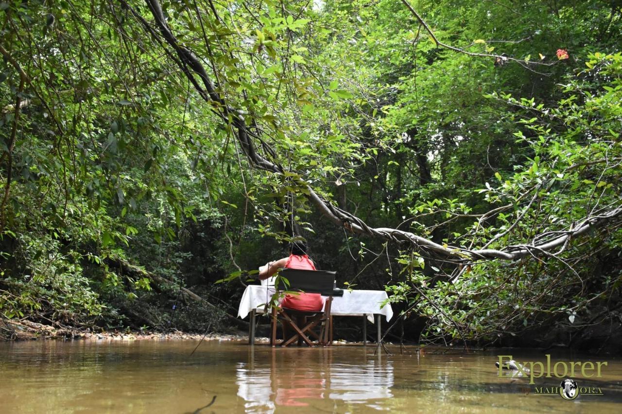 Explorer By Eco Team - Wasgamuwa National Park Exterior foto