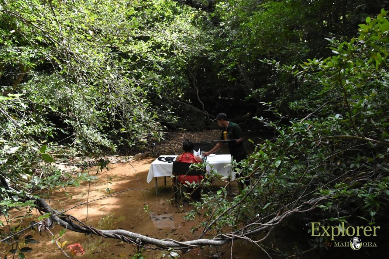 Explorer By Eco Team - Wasgamuwa National Park Exterior foto