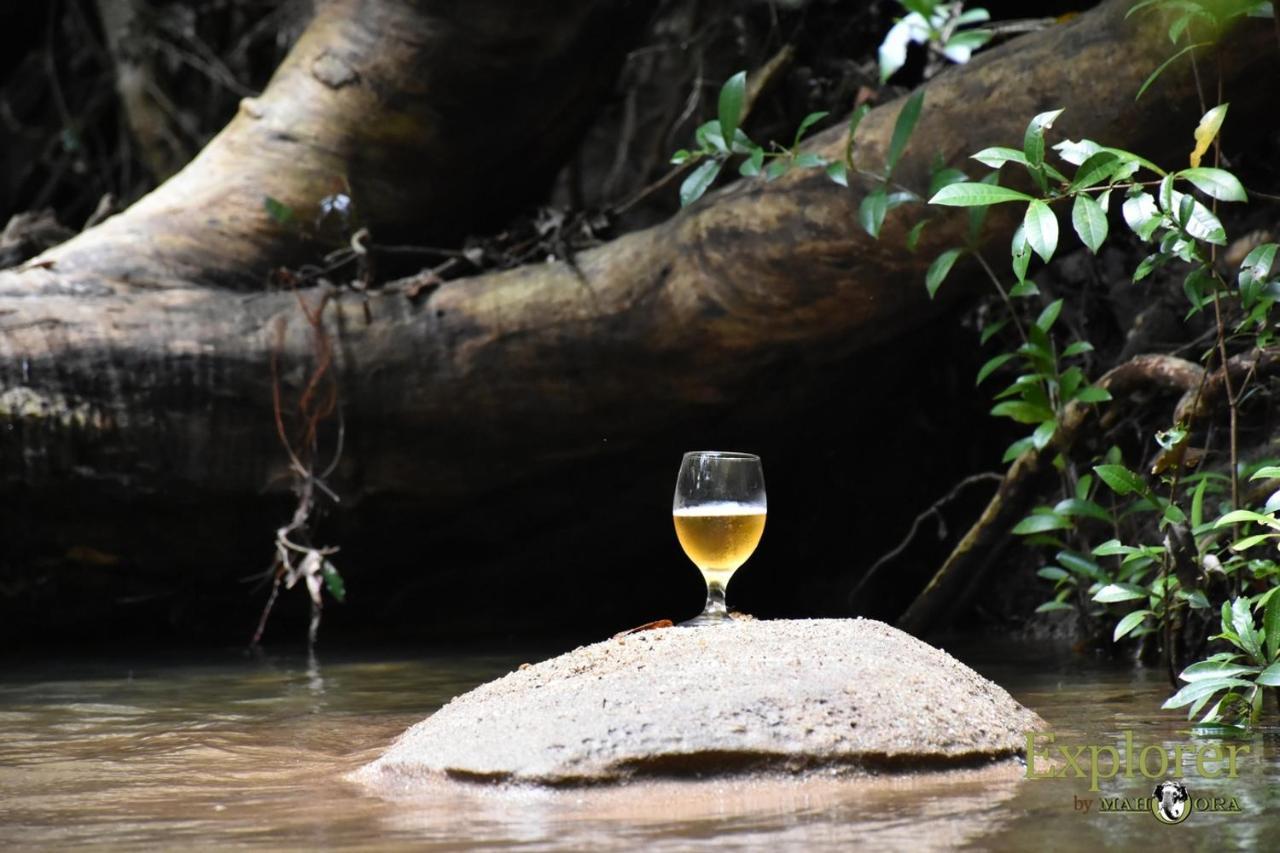 Explorer By Eco Team - Wasgamuwa National Park Exterior foto