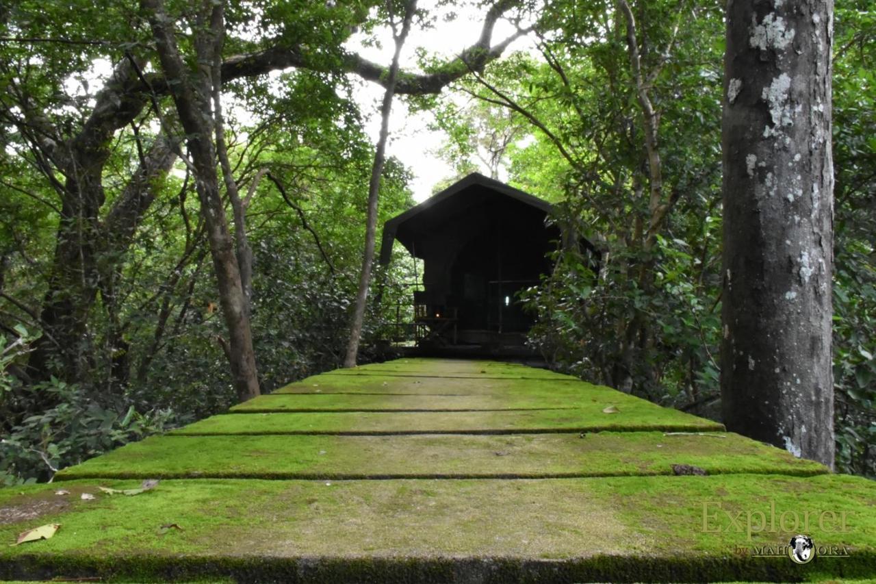 Explorer By Eco Team - Wasgamuwa National Park Exterior foto