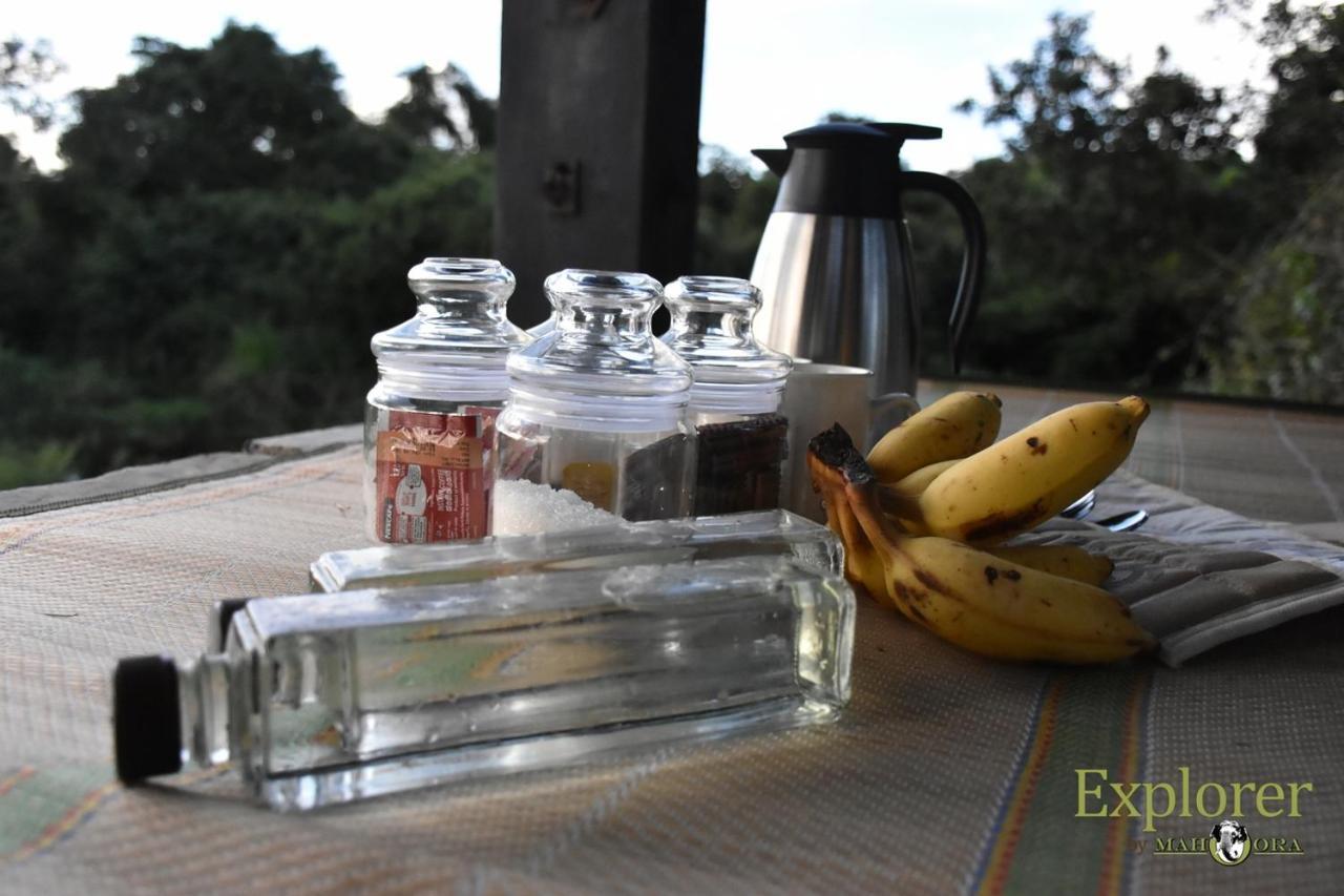 Explorer By Eco Team - Wasgamuwa National Park Exterior foto