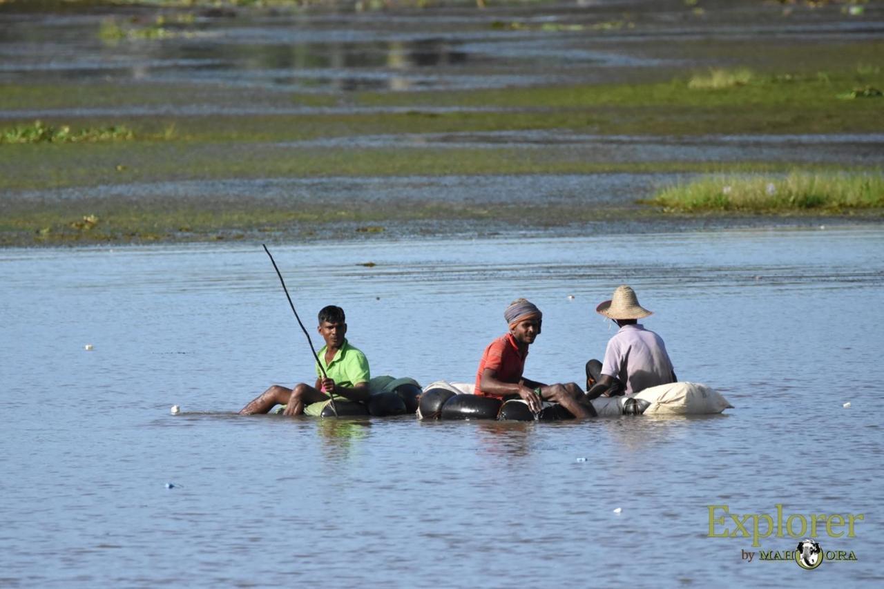 Explorer By Eco Team - Wasgamuwa National Park Exterior foto