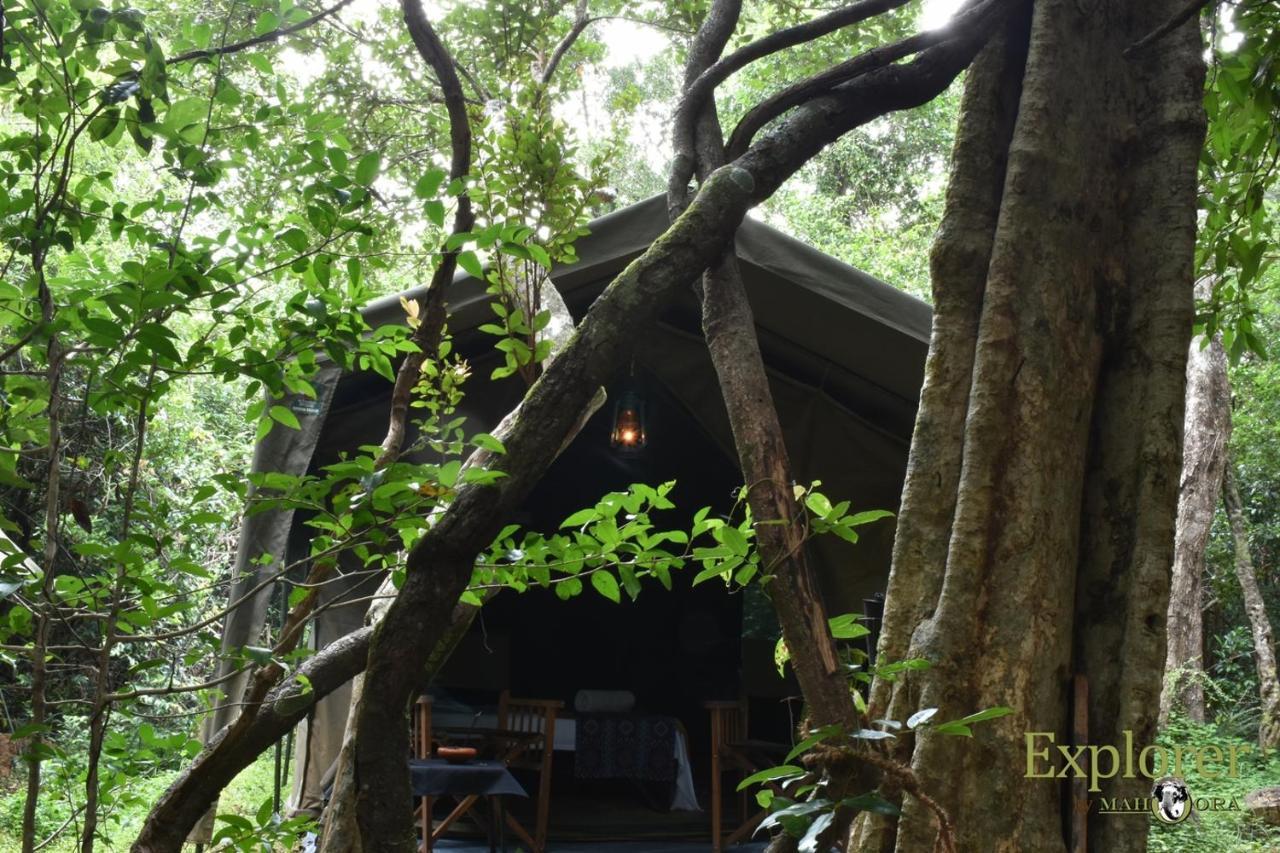 Explorer By Eco Team - Wasgamuwa National Park Exterior foto