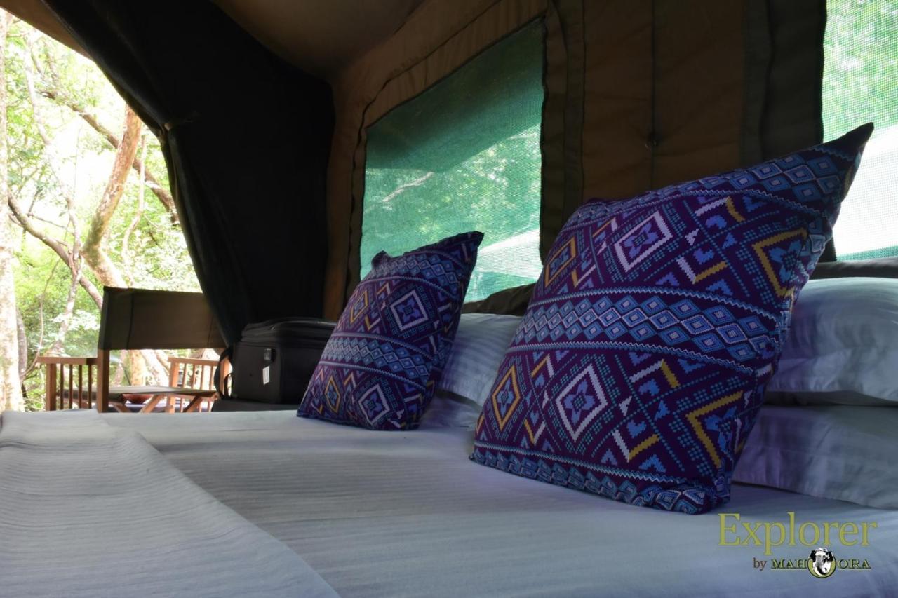 Explorer By Eco Team - Wasgamuwa National Park Exterior foto