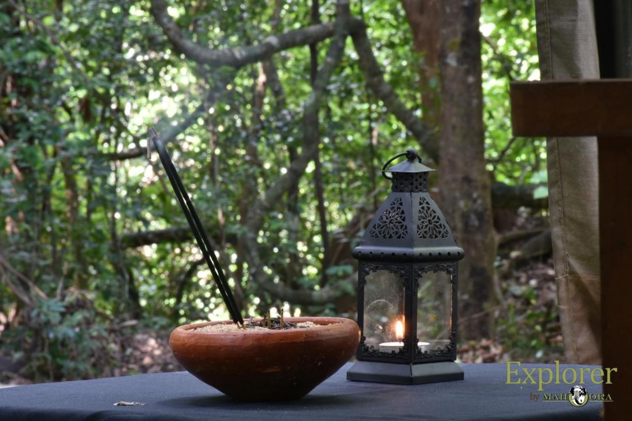 Explorer By Eco Team - Wasgamuwa National Park Exterior foto