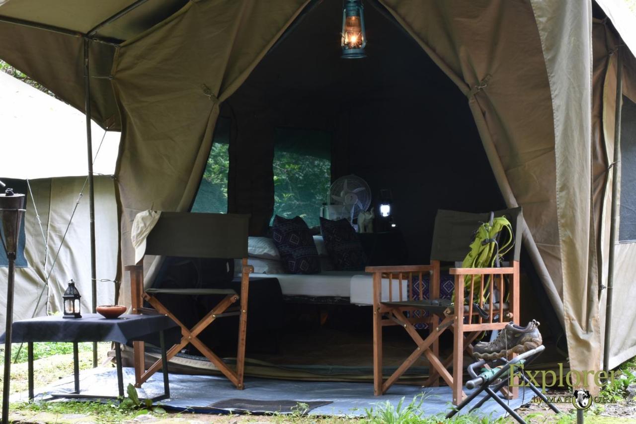 Explorer By Eco Team - Wasgamuwa National Park Exterior foto
