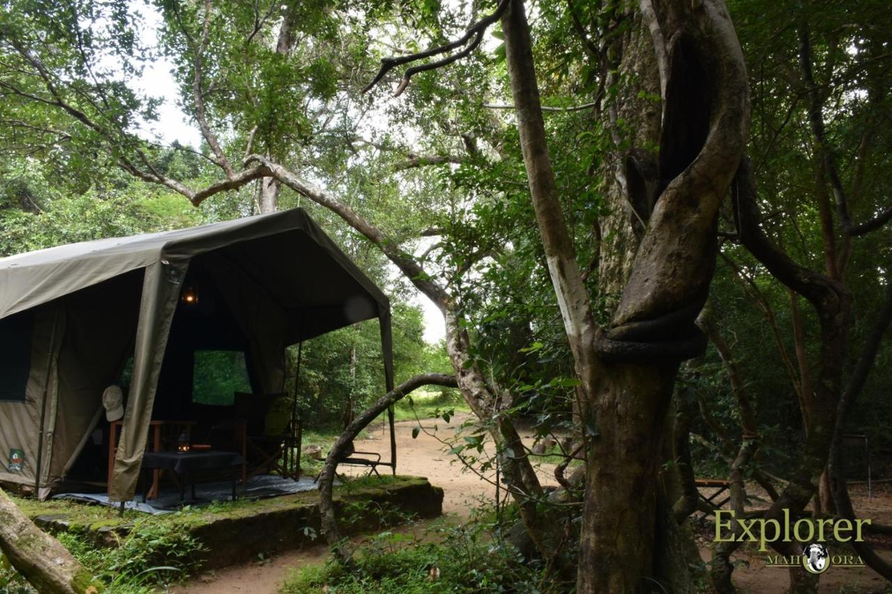 Explorer By Eco Team - Wasgamuwa National Park Exterior foto