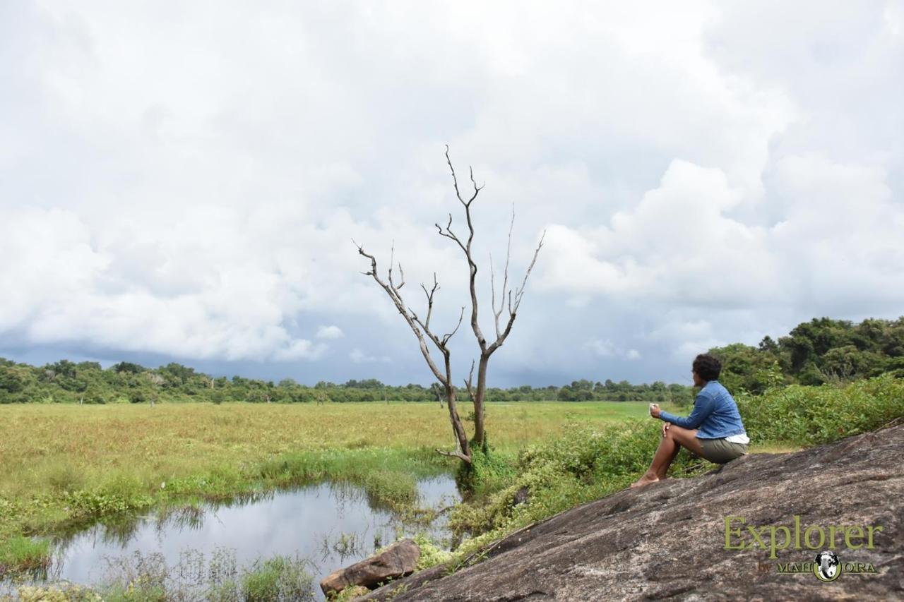 Explorer By Eco Team - Wasgamuwa National Park Exterior foto