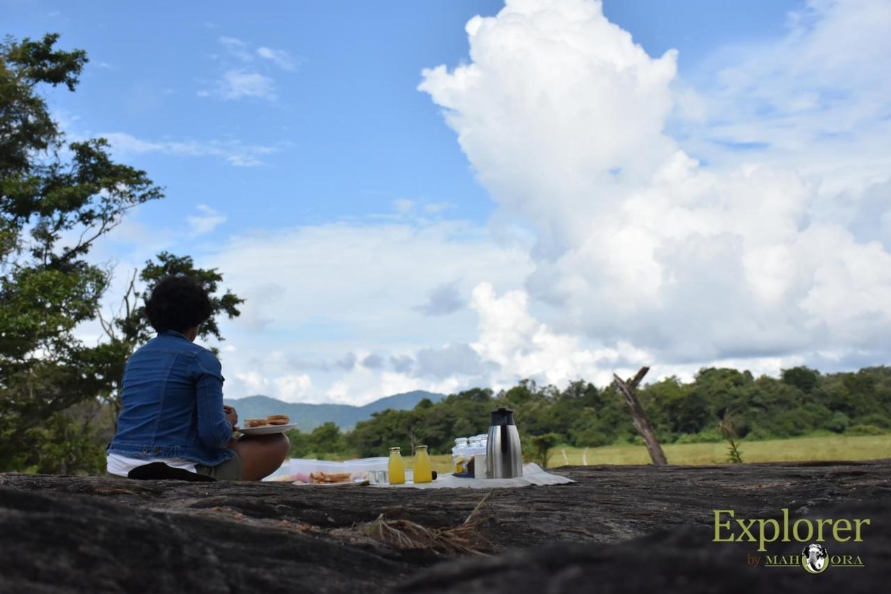 Explorer By Eco Team - Wasgamuwa National Park Exterior foto