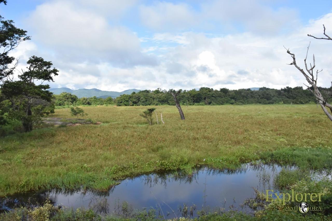 Explorer By Eco Team - Wasgamuwa National Park Exterior foto