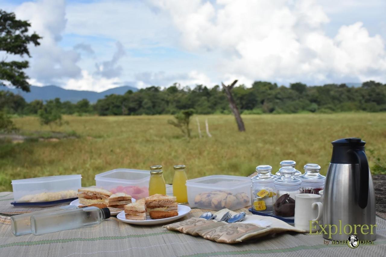 Explorer By Eco Team - Wasgamuwa National Park Exterior foto