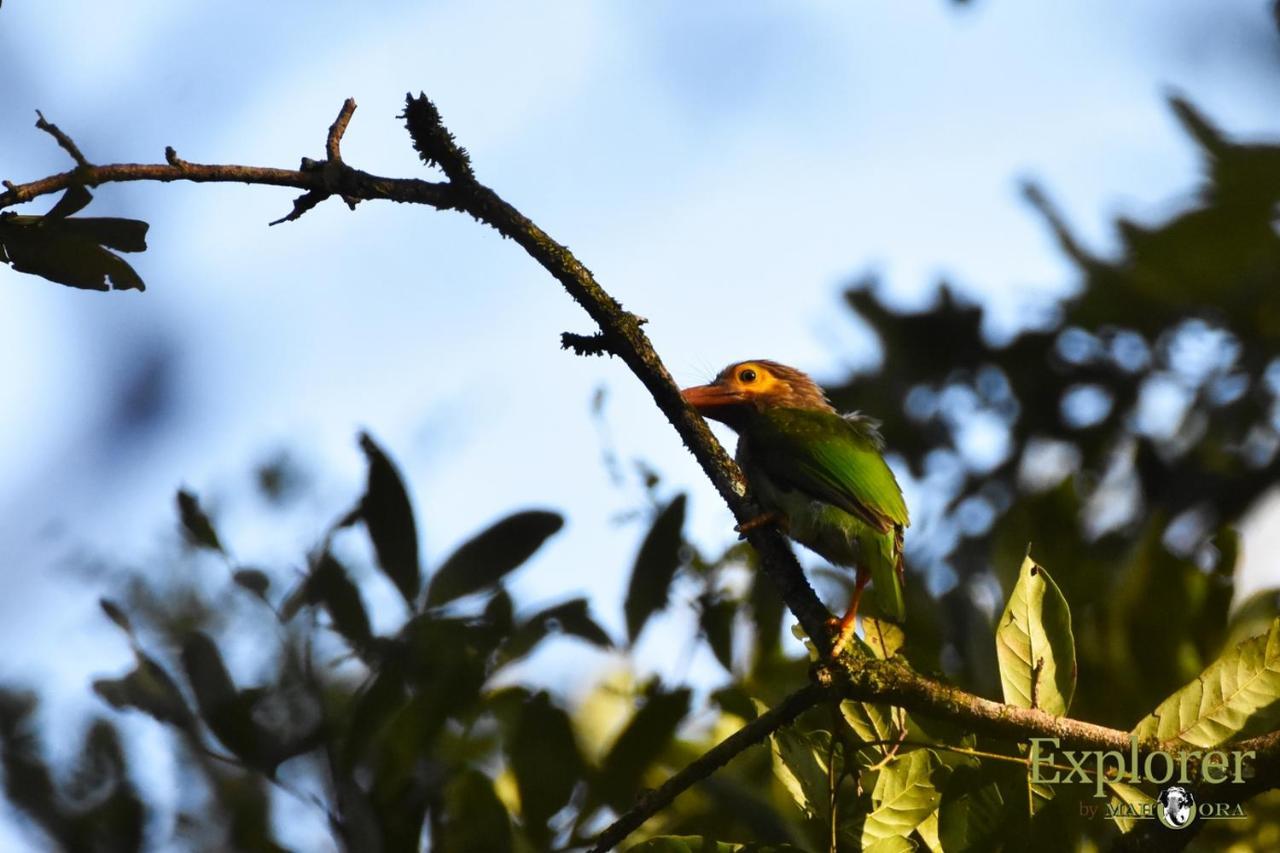 Explorer By Eco Team - Wasgamuwa National Park Exterior foto