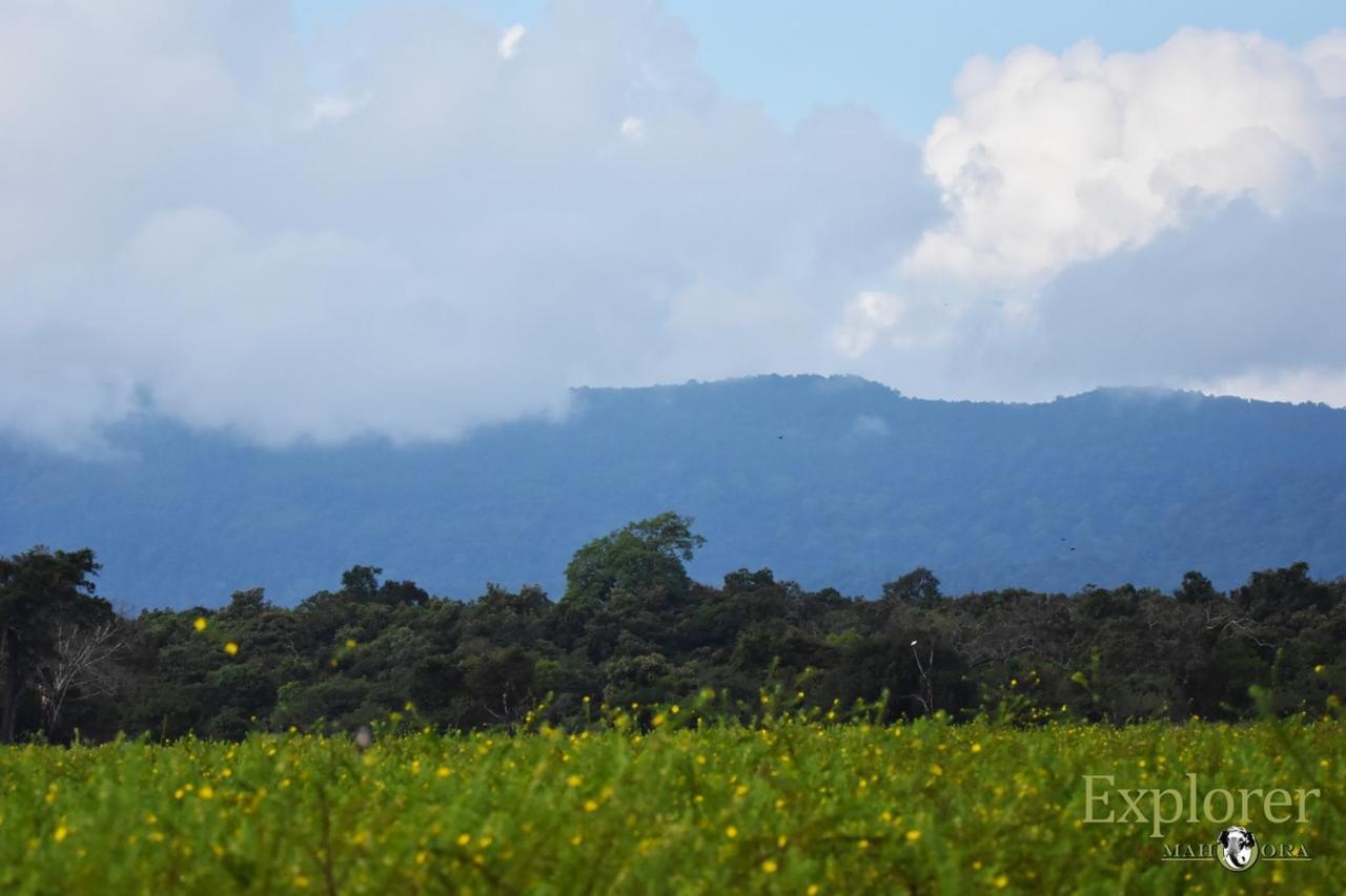 Explorer By Eco Team - Wasgamuwa National Park Exterior foto